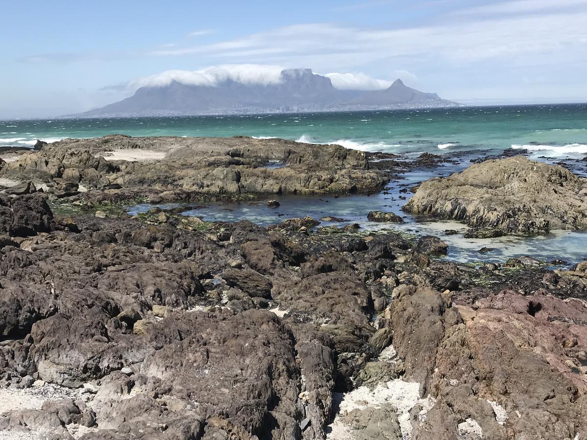 Atlantic Haven Apartment Bloubergstrand Exterior photo